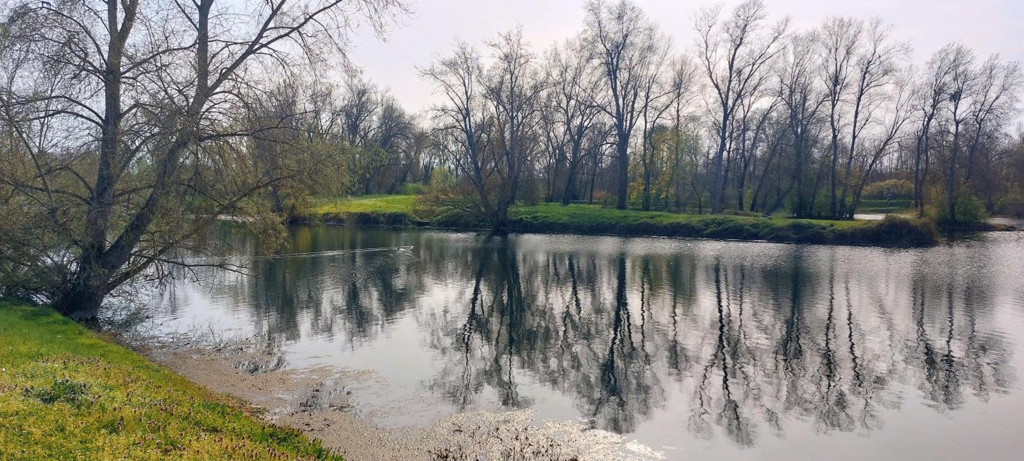 Studio Sur Les Rives D'Allier مولان المظهر الخارجي الصورة